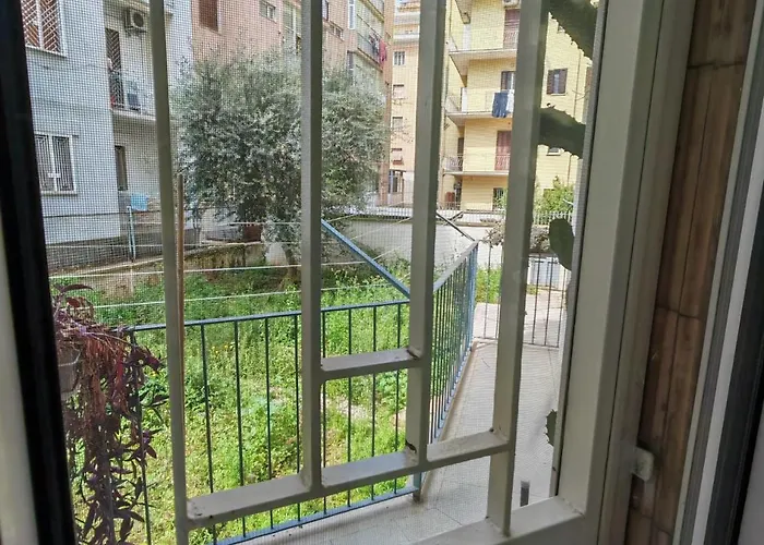 Mandragora #11 Howme Daire