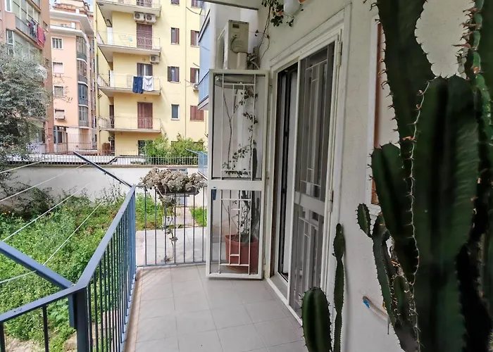 Mandragora #11 Howme Daire