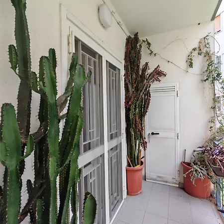 Apartment Mandragora #11 Howme